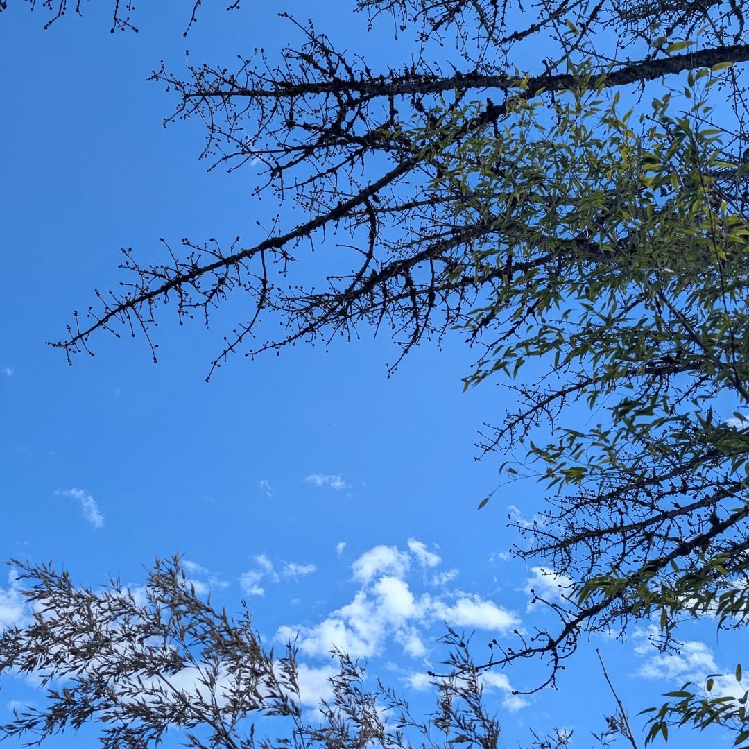 A picture of blue sky